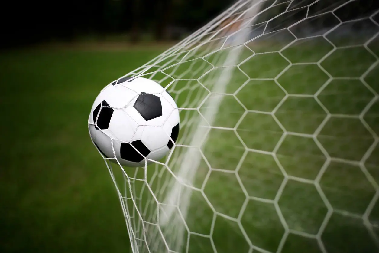 Soccer Ball in the net of a goal